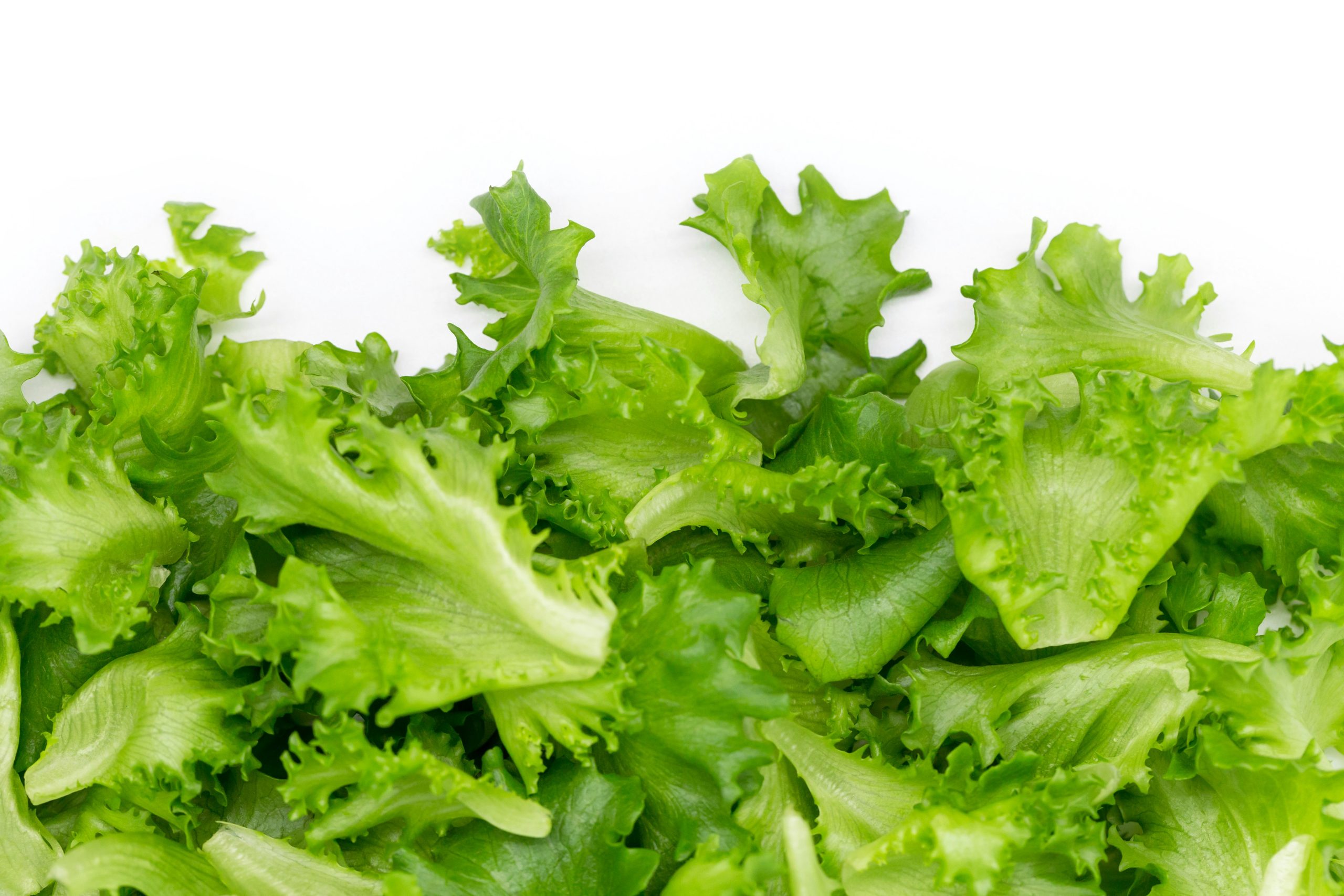 Cyclospora Cases Under Investigation in Shelby County